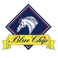 Brand - Blue Chip